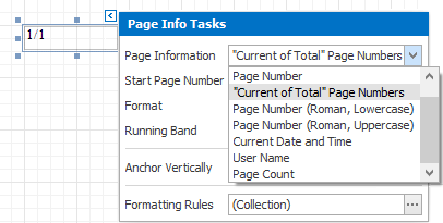 Selecting the page number type