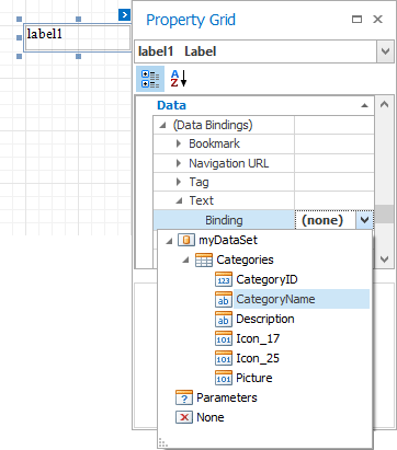 Binding options in the Property Grid