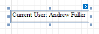 User name in the report