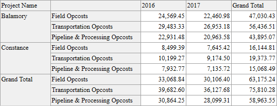 A Pivot Grid report