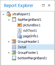 Report Explorer